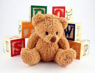 Image showing Bear and Blocks