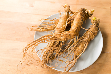 Image showing Korean fresh Ginseng