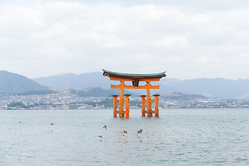 Image showing Floating torii gate of Itsukushima Shrine in Itsukushima island