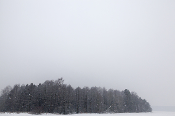 Image showing Snow in winter