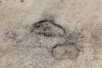 Image showing two potholes