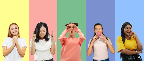 Image showing Portrait of group of emotional people on multicolored background