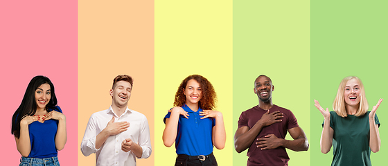 Image showing Portrait of group of emotional people on multicolored background