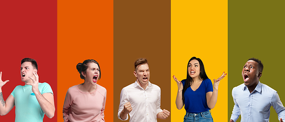 Image showing Portrait of group of emotional people on multicolored background