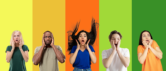 Image showing Portrait of group of emotional people on multicolored background