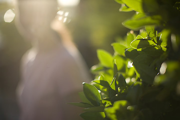 Image showing woman and light