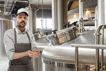 Image showing Professional brewer on his own craft alcohol production