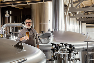 Image showing Professional brewer on his own craft alcohol production