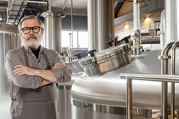 Image showing Professional brewer on his own craft alcohol production