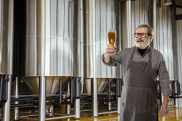 Image showing Professional brewer on his own craft alcohol production