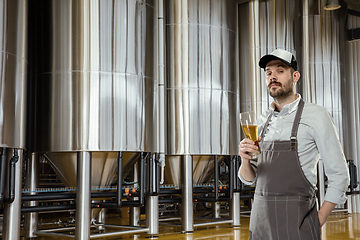 Image showing Professional brewer on his own craft alcohol production