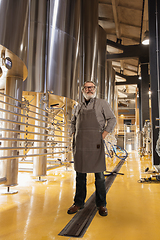 Image showing Professional brewer on his own craft alcohol production