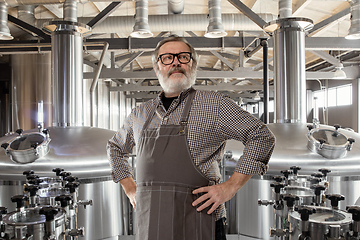 Image showing Professional brewer on his own craft alcohol production