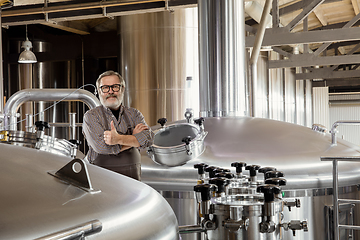 Image showing Professional brewer on his own craft alcohol production