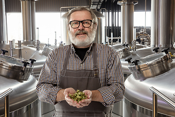 Image showing Professional brewer on his own craft alcohol production