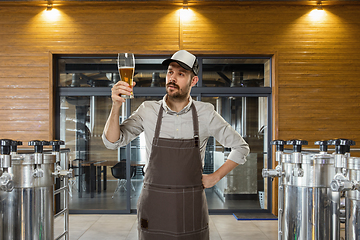 Image showing Professional brewer on his own craft alcohol production