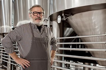 Image showing Professional brewer on his own craft alcohol production