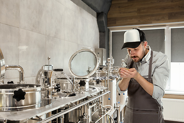 Image showing Professional brewer on his own craft alcohol production