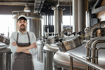 Image showing Professional brewer on his own craft alcohol production