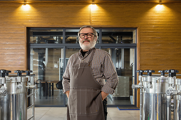 Image showing Professional brewer on his own craft alcohol production