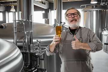 Image showing Professional brewer on his own craft alcohol production