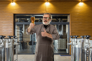 Image showing Professional brewer on his own craft alcohol production