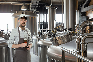 Image showing Professional brewer on his own craft alcohol production