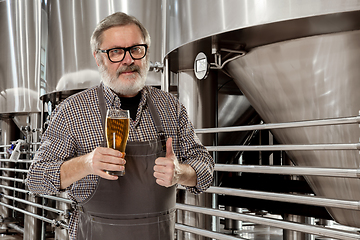 Image showing Professional brewer on his own craft alcohol production