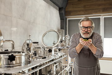 Image showing Professional brewer on his own craft alcohol production