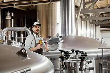 Image showing Professional brewer on his own craft alcohol production