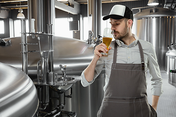 Image showing Professional brewer on his own craft alcohol production