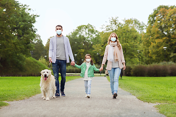 Image showing family in masks with labrador dog in park