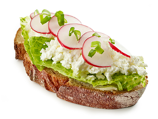 Image showing sandwich with cottage cheese and radish