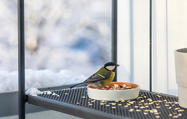 Image showing bird feeder with tit