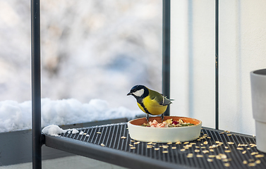 Image showing bird feeder with tit