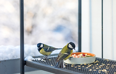 Image showing bird feeder with tit