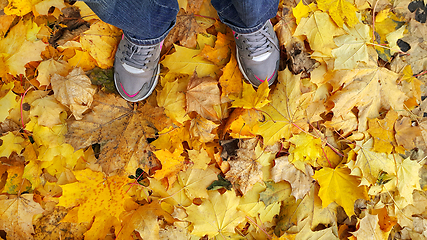 Image showing Feet standing on fallen autumn leaves