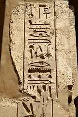 Image showing Ancient egyptian hieroglyphs in the Karnak Temple