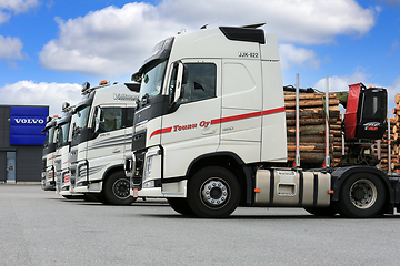 Image showing Row of White Volvo FH Heavy Trucks 