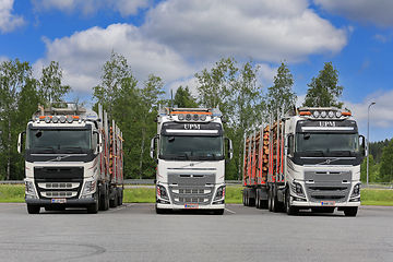 Image showing Three Volvo FH Logging Trucks 