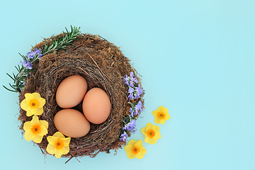 Image showing Fresh Eggs in a Bird Nest with Spring Flowers
