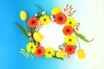 Image showing Spring Flower and Quail Egg Abstract Frame Background