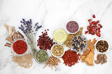 Image showing Herbs and Flowers for Herbal Plant Medicine