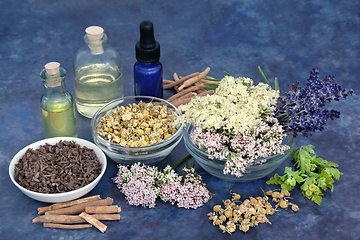 Image showing Natural Apothecary Herbal Plant Medicine