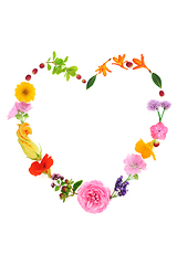 Image showing Heart Shaped Wreath of Healing Herbs and Flowers 