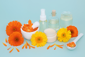 Image showing Calendula Flowers for Alternative Skincare Remedy
