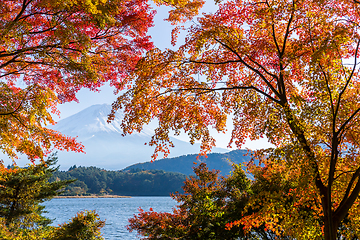Image showing Lake Kawaguchi and Mount Fuji in Autumn season