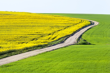 Image showing Empty rural road