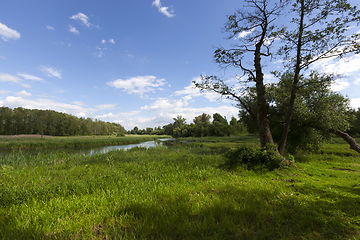 Image showing forest river