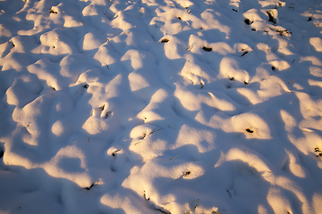 Image showing Snow drifts, in winter